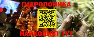 гашик Новокубанск