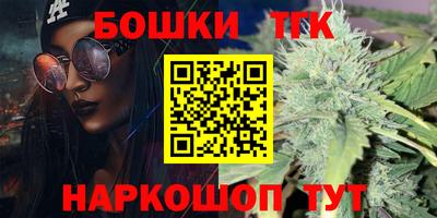 гашик Новокубанск
