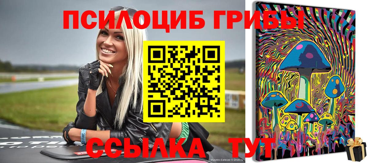 Псилоцибиновые грибы Psilocybine cubensis Сокол