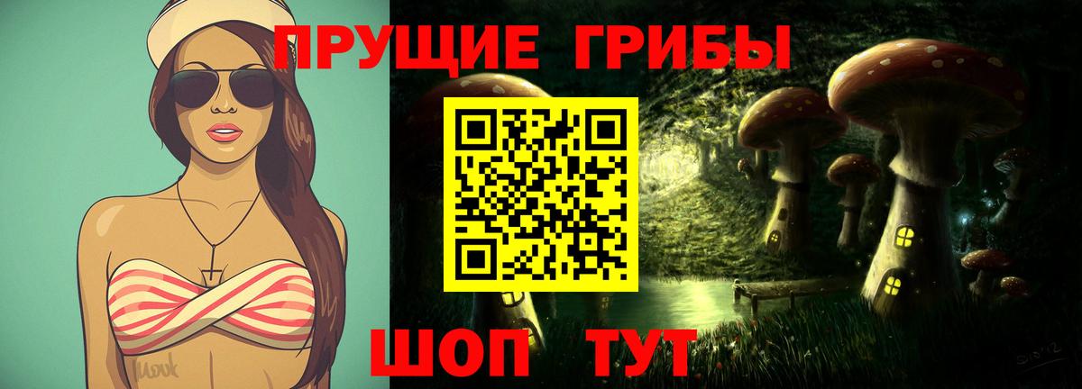 Сокол  Псилоцибиновые грибы Cubensis  Галлюциногенные грибы ЛСД  Вход с VPN 